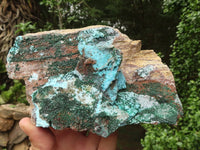 Natural Drusy Coated Chrysocolla & Malachite On Dolomite Specimen  x 1 From Likasi, Congo - TopRock