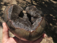 Polished Septerye Sauvage "Dragons Egg" Geode  x 1 From Madagascar - TopRock