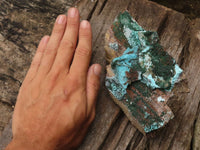 Natural Drusy Coated Chrysocolla & Malachite On Dolomite Specimen  x 1 From Likasi, Congo - TopRock