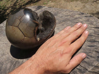 Polished Septerye Sauvage "Dragons Egg" Geode  x 1 From Madagascar - TopRock