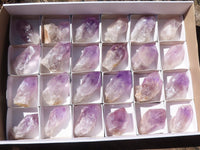 Natural Single Jacaranda Amethyst Crystals  x 24 From Mumbwa, Zambia - Toprock Gemstones and Minerals 