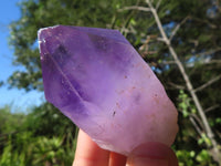 Natural Single Jacaranda Amethyst Crystals  x 24 From Mumbwa, Zambia - Toprock Gemstones and Minerals 