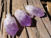 Natural Single Jacaranda Amethyst Crystals  x 24 From Mumbwa, Zambia - Toprock Gemstones and Minerals 