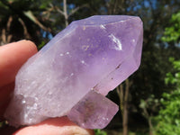 Natural Single Jacaranda Amethyst Crystals  x 24 From Mumbwa, Zambia - Toprock Gemstones and Minerals 