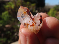 Natural Bright Smokey Brandberg Quartz Crystals x 35 From Brandberg, Namibia