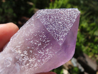 Natural Single Jacaranda Amethyst Crystals  x 24 From Mumbwa, Zambia - Toprock Gemstones and Minerals 