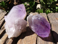 Natural Single Jacaranda Amethyst Crystals  x 24 From Mumbwa, Zambia - Toprock Gemstones and Minerals 