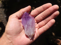 Natural Single Jacaranda Amethyst Crystals  x 24 From Mumbwa, Zambia - Toprock Gemstones and Minerals 