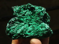 Natural Chatoyant Silky Malachite Specimens  x 6 From Kasompe, Congo - TopRock