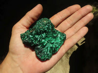 Natural Chatoyant Silky Malachite Specimens  x 6 From Kasompe, Congo - TopRock