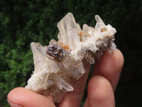 Natural Small Mixed Quartz Clusters  x 24 From Madagascar - TopRock