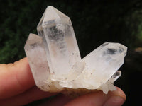 Natural Small Mixed Quartz Clusters  x 24 From Madagascar - TopRock