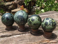 Polished Stromatolite / Kambamba Jasper Spheres With Wooden Stands x 8 From Mahajanga, Madagascar - TopRock