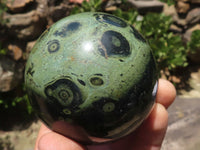 Polished Stromatolite / Kambamba Jasper Spheres With Wooden Stands x 8 From Mahajanga, Madagascar - TopRock