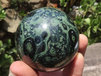 Polished Stromatolite / Kambamba Jasper Spheres With Wooden Stands x 8 From Mahajanga, Madagascar - TopRock