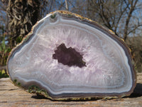 Polished Amethyst Agate Geodes x 2 From West Coast, Madagascar