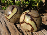 Polished Septaria Spheres x 2 From Madagascar