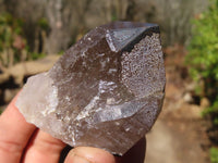 Natural Smokey Quartz Crystal Specimens x 3 From Malawi