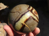 Polished Septaria Spheres x 2 From Madagascar