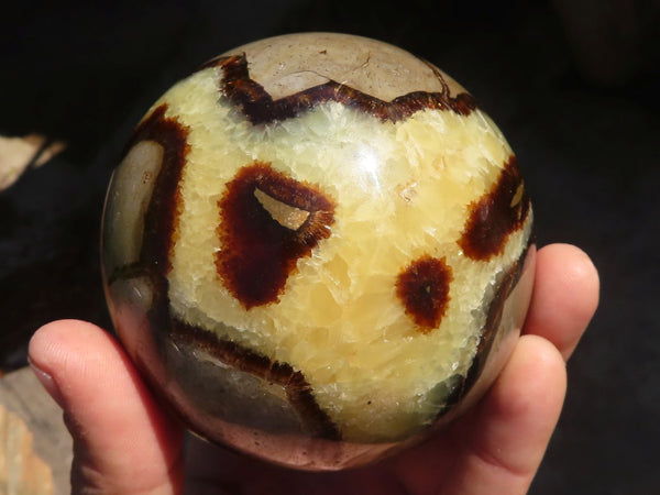 Polished Septaria (Calcite & Aragonite) Spheres  x 2 From Madagascar