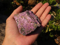 Natural Rough Metallic Purpurite Specimens  x 12 From Erongo, Namibia - Toprock Gemstones and Minerals 