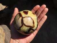 Polished Septaria Spheres x 2 From Madagascar