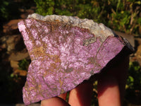 Natural Rough Metallic Purpurite Specimens  x 12 From Erongo, Namibia - Toprock Gemstones and Minerals 