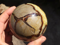 Polished Septaria Spheres x 2 From Madagascar