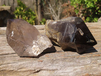 Natural Smokey Quartz Crystal Specimens x 3 From Malawi