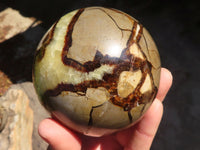 Polished Septaria Spheres x 2 From Madagascar