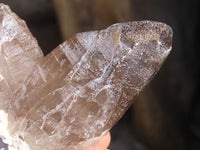 Natural Smokey Quartz Crystal Specimens x 3 From Malawi