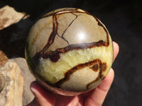 Polished Septaria Spheres x 2 From Madagascar