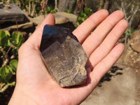 Natural Smokey Quartz Crystal Specimens x 3 From Malawi