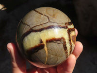 Polished Septaria Spheres x 2 From Madagascar