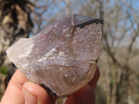 Natural Smokey Quartz Crystal Specimens x 3 From Malawi