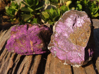 Natural Rough Metallic Purpurite Specimens  x 12 From Erongo, Namibia - Toprock Gemstones and Minerals 