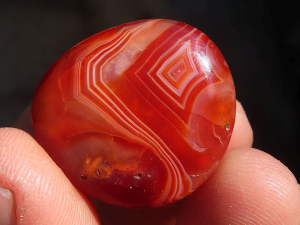 Polished Carnelian Agate Tumble Stones x 1 Kg Lot From Madagascar