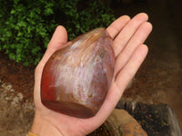 Polished Red Earthy Volcano Jasper Standing Free Forms  x 2 From Madagascar - TopRock