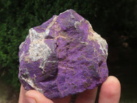 Natural Selected Rough Purpurite Specimens  x 8 From Erongo, Namibia - TopRock