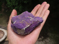 Natural Selected Rough Purpurite Specimens  x 8 From Erongo, Namibia - TopRock