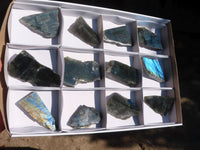 Polished One Side Polished Labradorite Slices  x 12 From Tulear, Madagascar - Toprock Gemstones and Minerals 