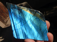 Polished One Side Polished Labradorite Slices  x 12 From Tulear, Madagascar - Toprock Gemstones and Minerals 