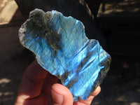 Polished One Side Polished Labradorite Slices  x 12 From Tulear, Madagascar - Toprock Gemstones and Minerals 