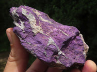 Natural Selected Rough Purpurite Specimens  x 8 From Erongo, Namibia - TopRock