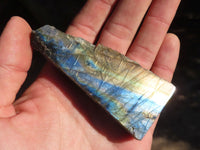 Polished One Side Polished Labradorite Slices  x 12 From Tulear, Madagascar - Toprock Gemstones and Minerals 