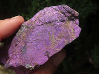 Natural Selected Rough Purpurite Specimens  x 8 From Erongo, Namibia - TopRock