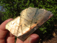 Polished One Side Polished Labradorite Slices  x 12 From Tulear, Madagascar - Toprock Gemstones and Minerals 