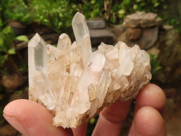 Natural Small Mixed Quartz Clusters  x 25 From Madagascar - TopRock