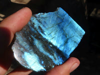 Polished One Side Polished Labradorite Slices  x 12 From Tulear, Madagascar - Toprock Gemstones and Minerals 