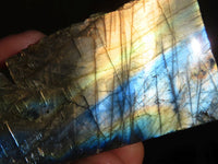 Polished One Side Polished Labradorite Slices  x 12 From Tulear, Madagascar - Toprock Gemstones and Minerals 